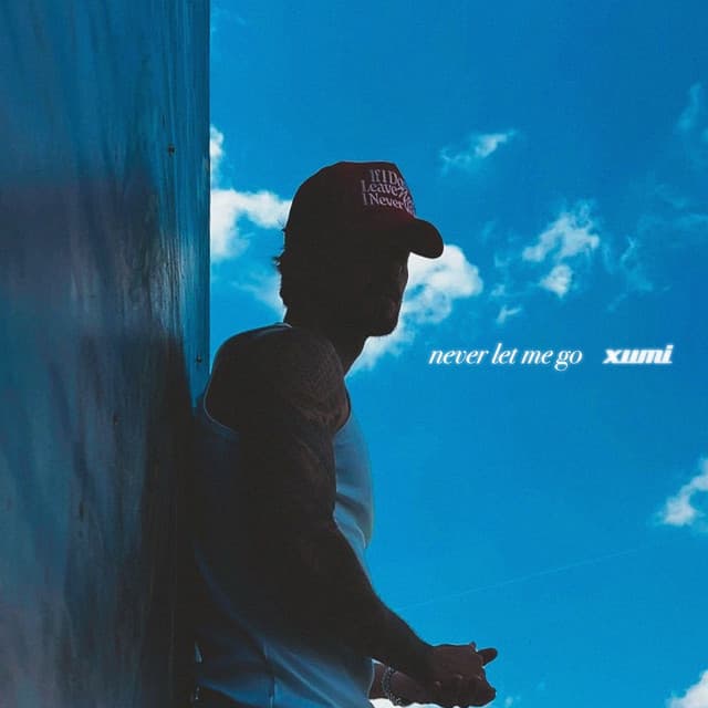 Never Let Me Go Cover